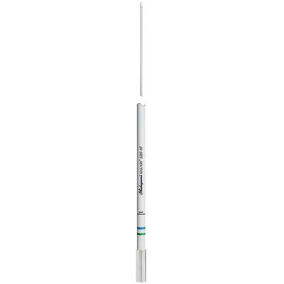 8' GALAXY AIS SS FERRULE