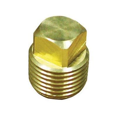 Garboard Drain Plug 02030710