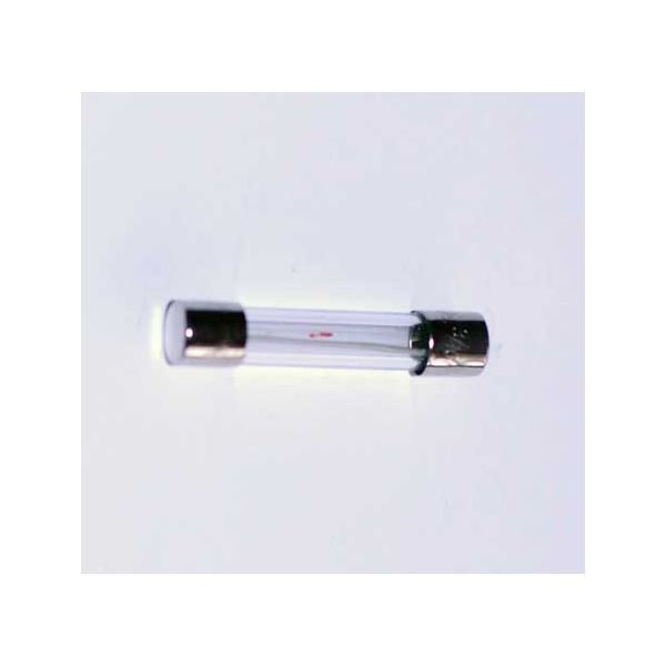 FUSE 0.3 A BUSS SST DIG