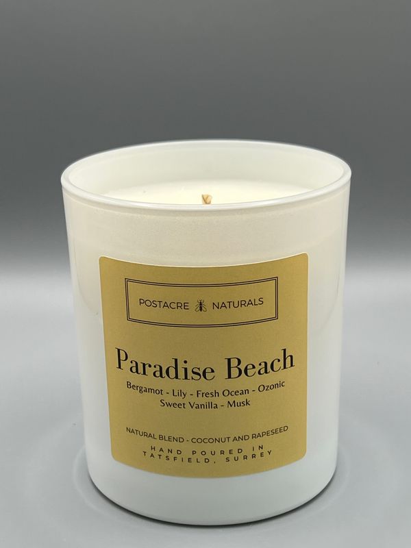 Paradise Beach (30cl) (V) BOXED