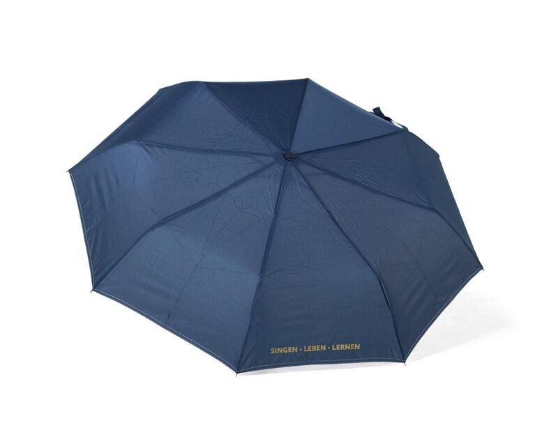Domspatzen Regenschirm (Taschenschirm)