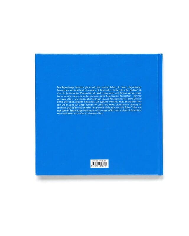 Die Regensburger Domspatzen - Karl Birkenseer - Buch