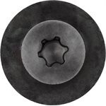 FORD TORX PAN HEAD SEMS TAPPING SCREW 15PK