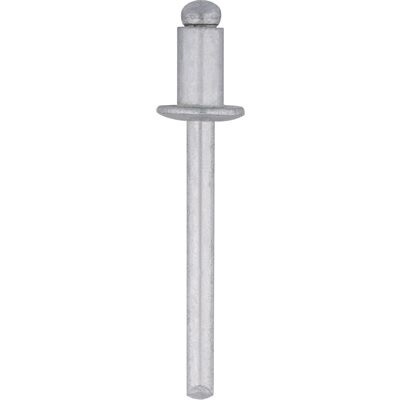 PANEL RIVETS 100pk