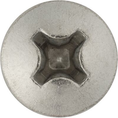 25239- M6- 1.0 X 8MM PHILIPS PAN HEAD SS LICENSE PLATE SCREW 25pk