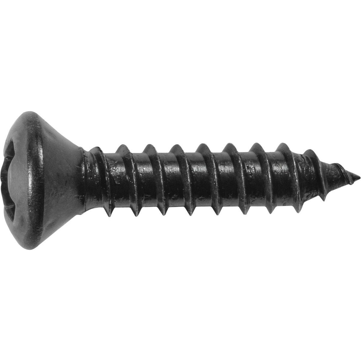 12795-Phillips Oval Head Tapping Screw 6 x 1/2&quot; Black Oxide -100pk