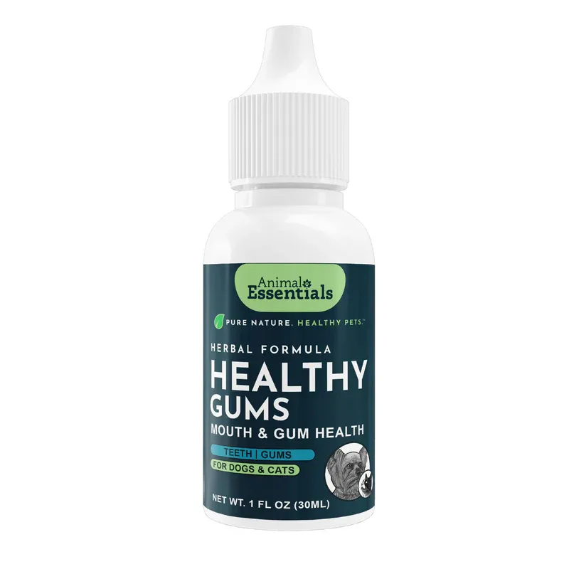 Animal Essentials Healthy Gums 1oz