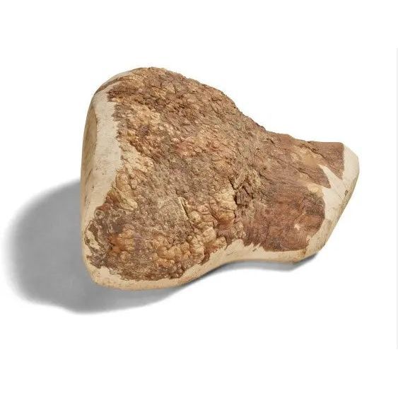 Canophera Large Briar Wood Stick