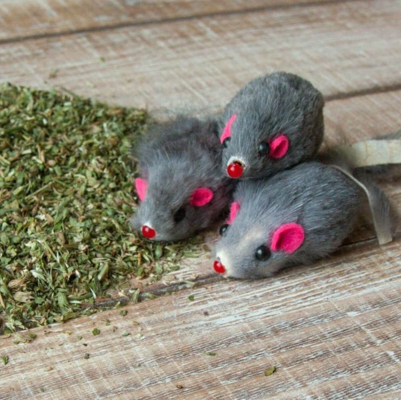 Dr Pussums Marinated Mice 3 pk