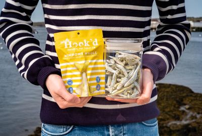 Totally Hook'd Minnows FZD 1oz