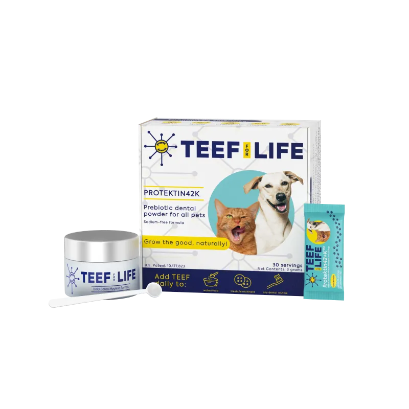 Teef for Life Kit