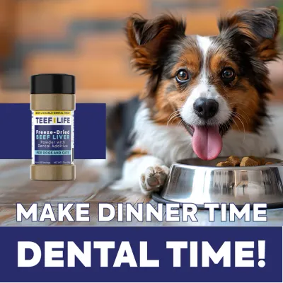 Teef Lickable Treat Powder Beef Liver