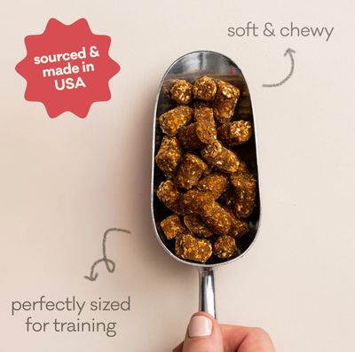 Polka Dog Wonder Nuggets Beef 12oz