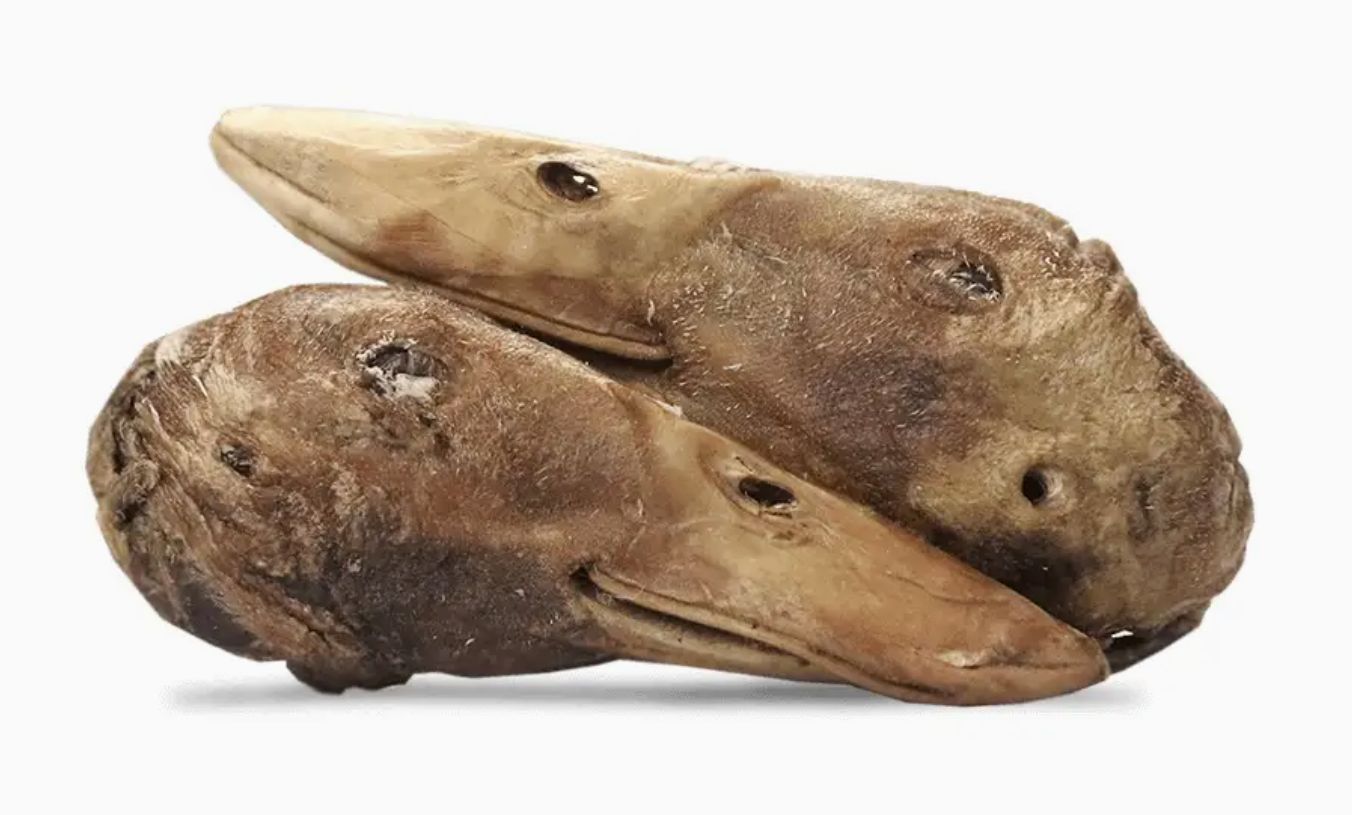 Vital Essentials FZD Duck Heads