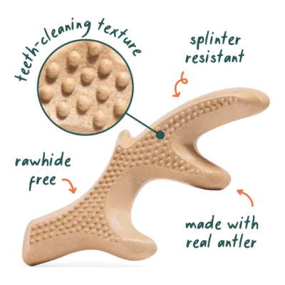 Woof Antler Honest Bone L