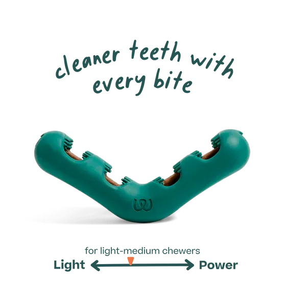 Woof Bite N Brush Large