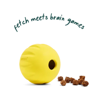 Woof Forager Flyball Yellow
