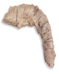 Momentum FZD Turkey Necks