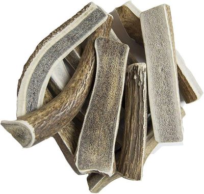 Elk Antler Split Cut Large