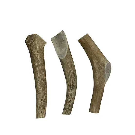 Elk Antler WHOLE Large