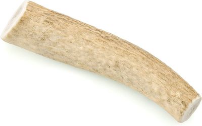 Elk Antler WHOLE Medium