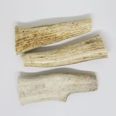 Elk Antler WHOLE Small