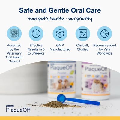 Proden Plaqueoff CAT 40g powder