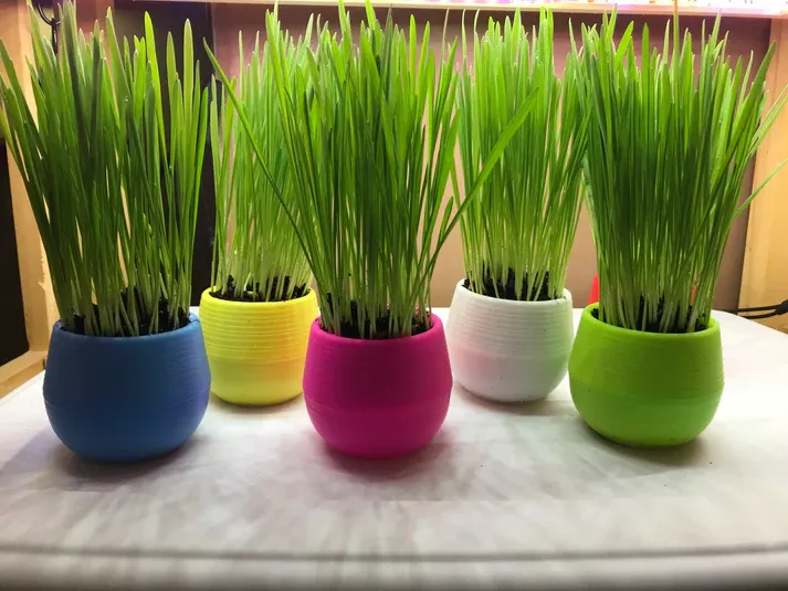 Mom&#39;s Indoor Cat Grass Ball Kit
