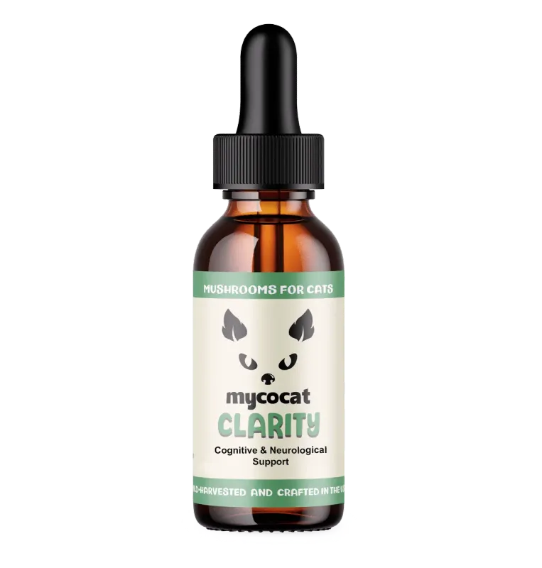 CBDDOG Health Mushroom Tonics MycoCat Clarity 2oz 350mg