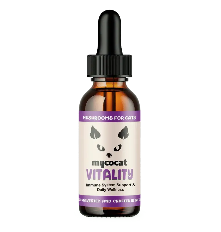 CBDDOG Health Mushroom Tonics MycoCat Vitality 2oz 350mg