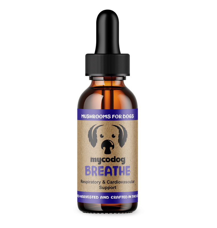 CBDDOG Health Mushroom Tonics MycoDog Breathe 2oz 350mg