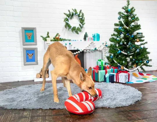 BARK Grandy Cane Plush Dog Toy