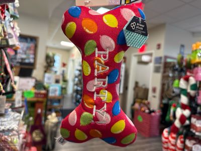 Huxley Kent Dog Power Plush Party Time Bone Pink Small