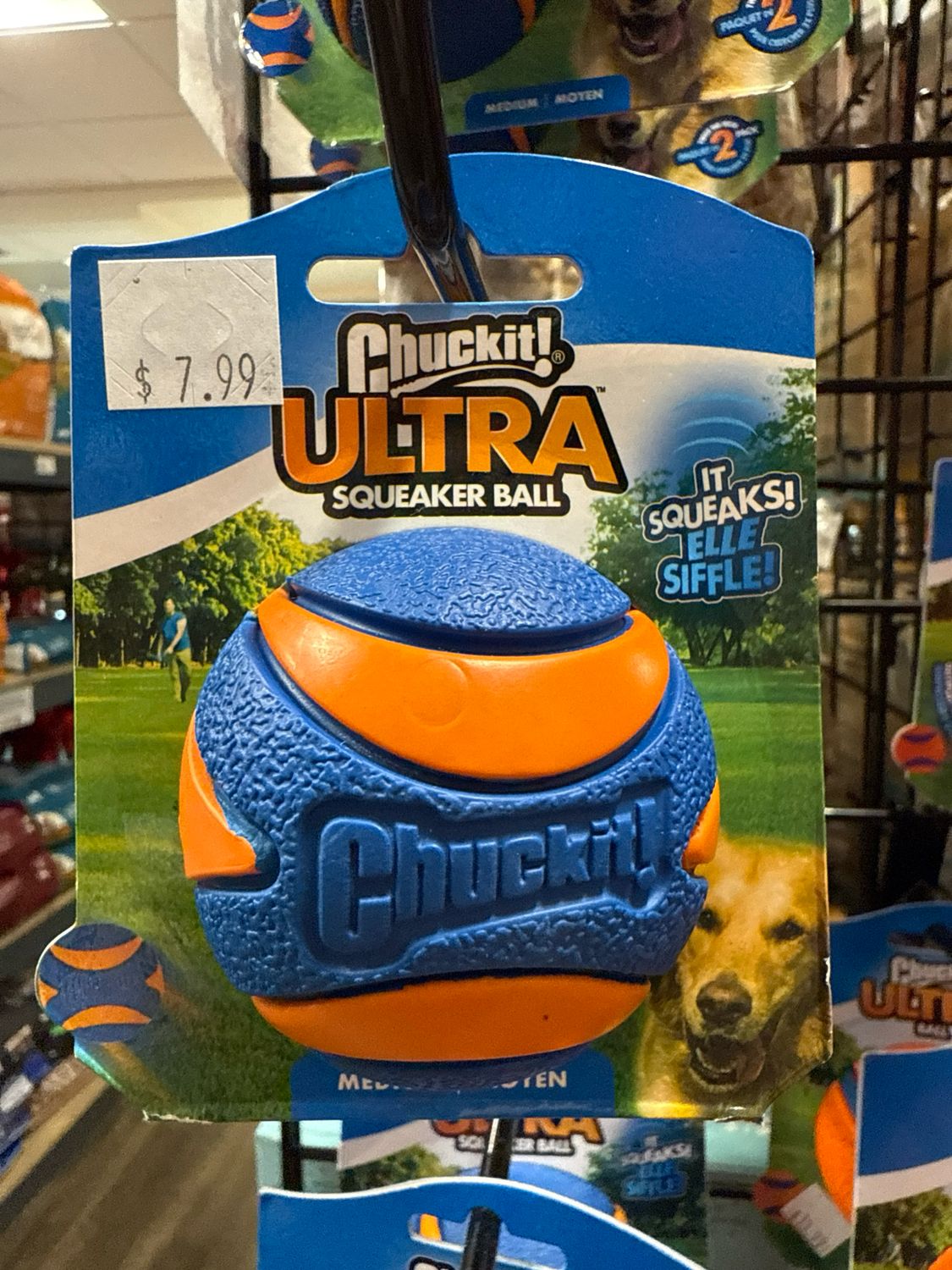 Chuck It Ultra squeaker Medium