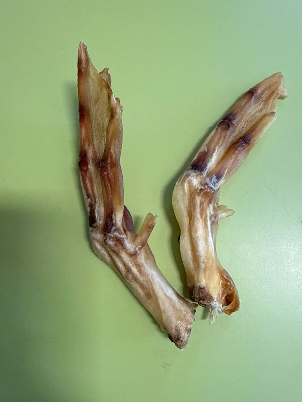 Furever Fierce Duck Feet Single