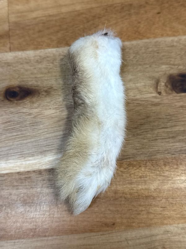 Furever Fierce Rabbit Feet Single