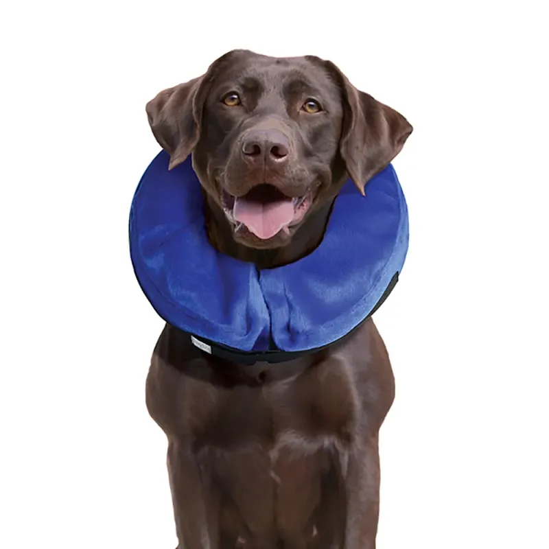 Kong Cloud E Collar Large