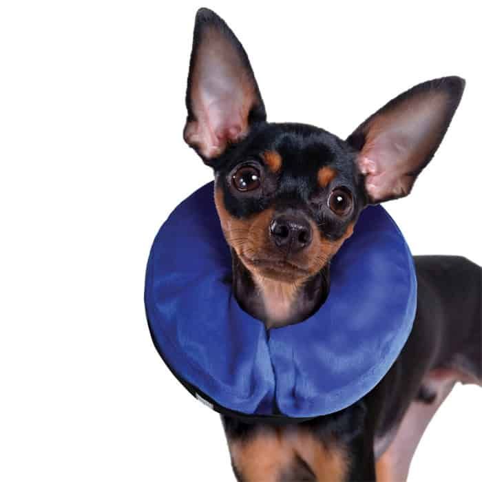 Kong Cloud E Collar S