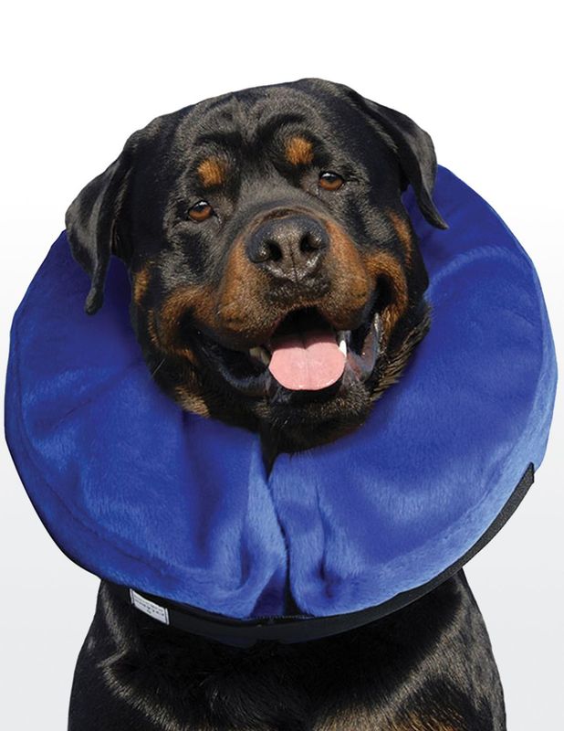 Kong Cloud E Collar XL