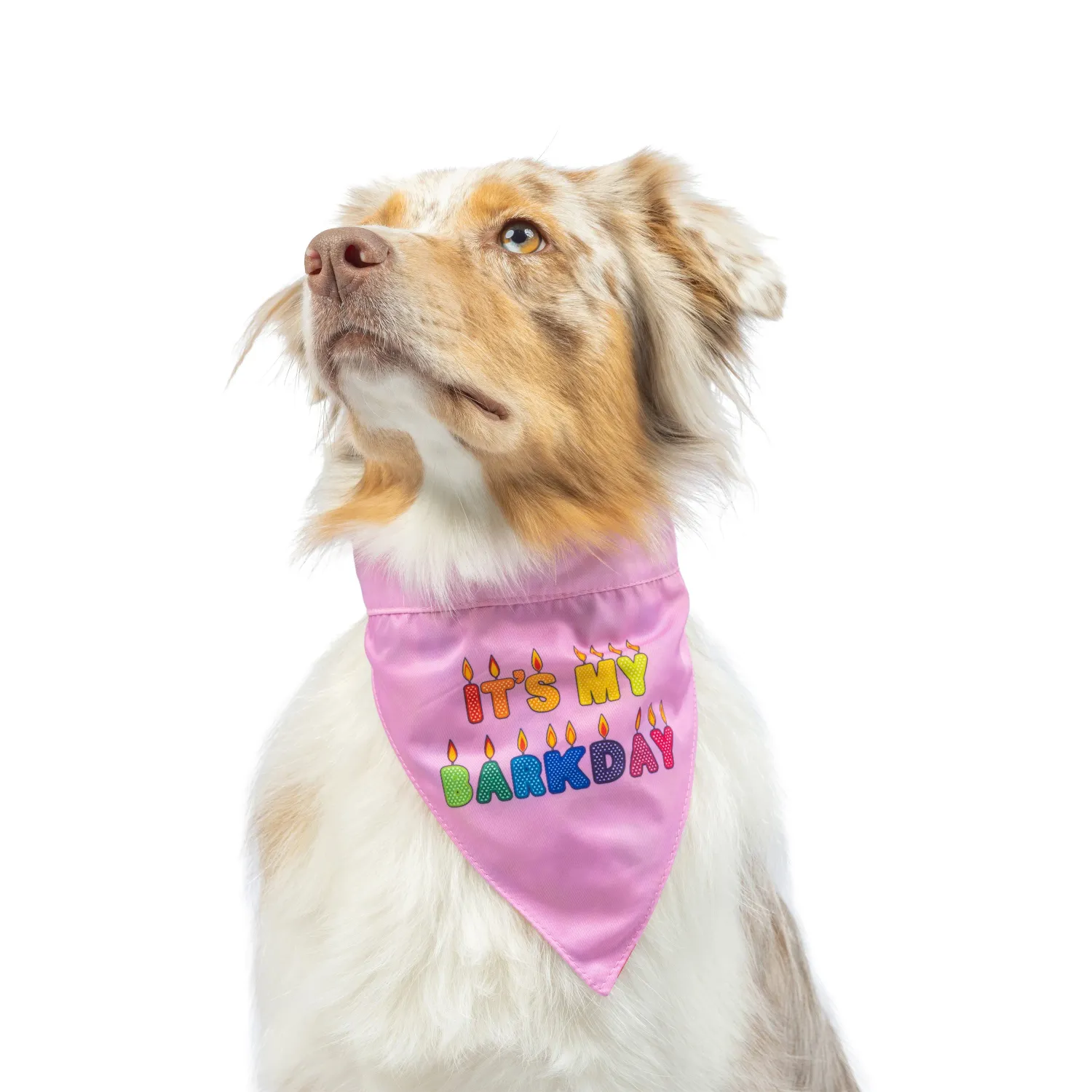 Huxley Kent Bandana Party Time Pink Large