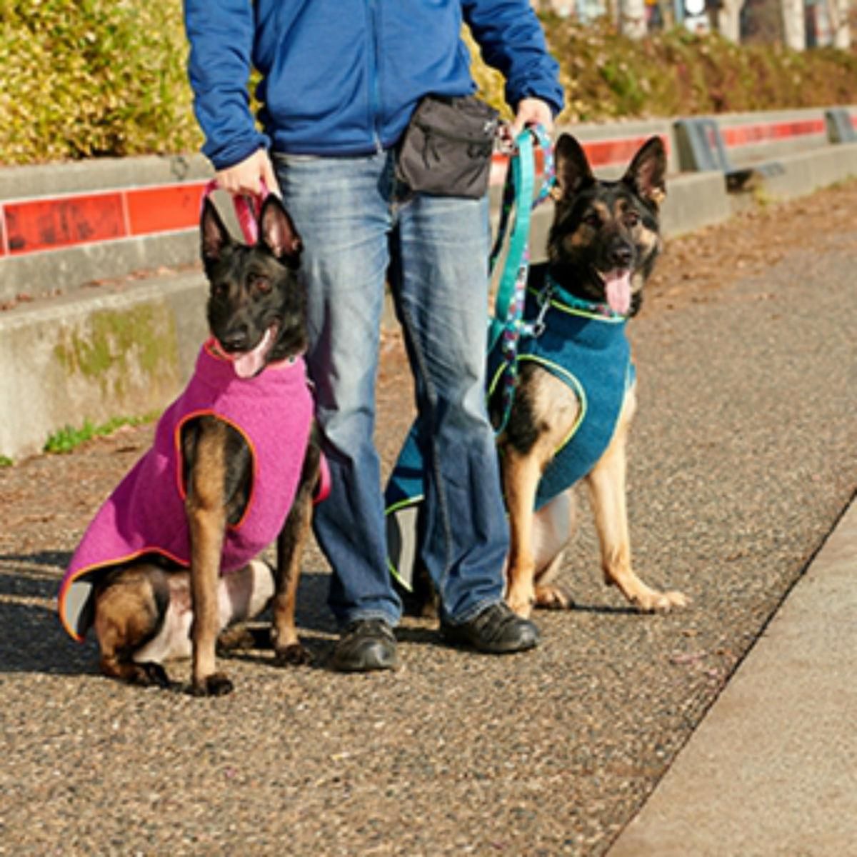 RC Pets Tundra Fleece