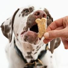 Dog Treats