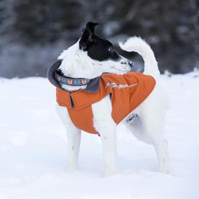 Coats, Sweaters, Jackets, Vest