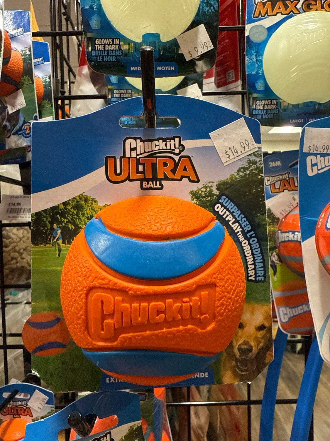 Chuck It Ultra Ball XL 1 pack