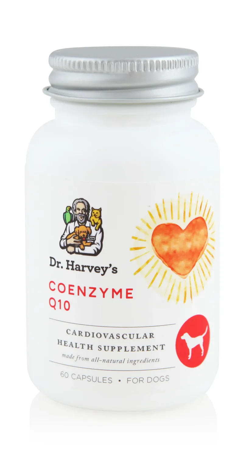 Dr Harveys Coenzyme Q10 30mg 60 ct