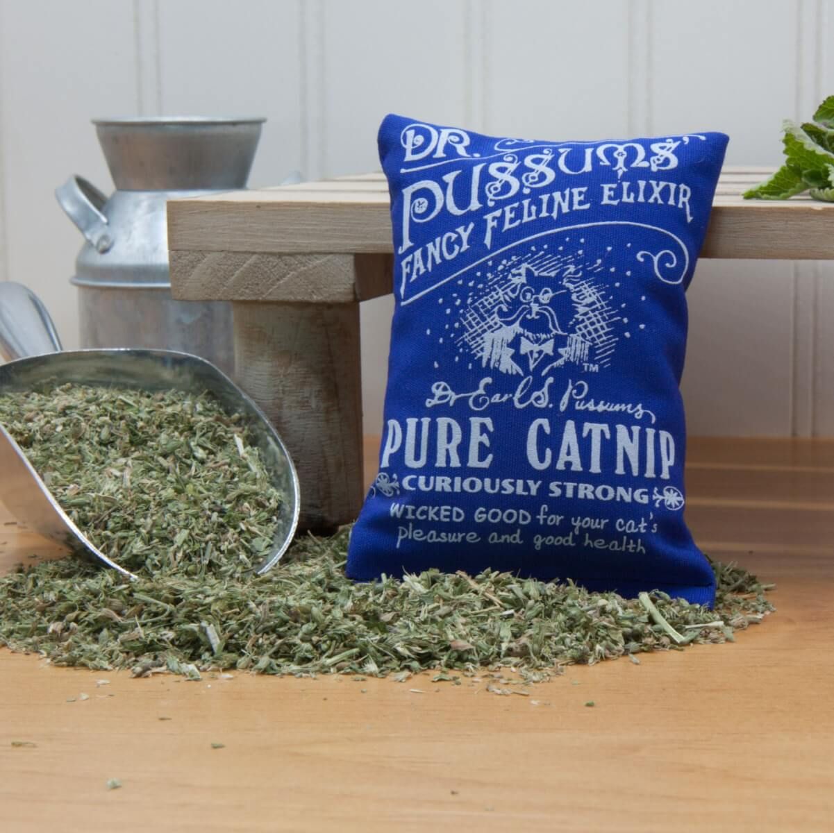 Dr Pussums Regular Sack