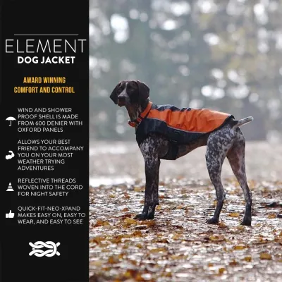 EzyDog Element Coat Orange Large