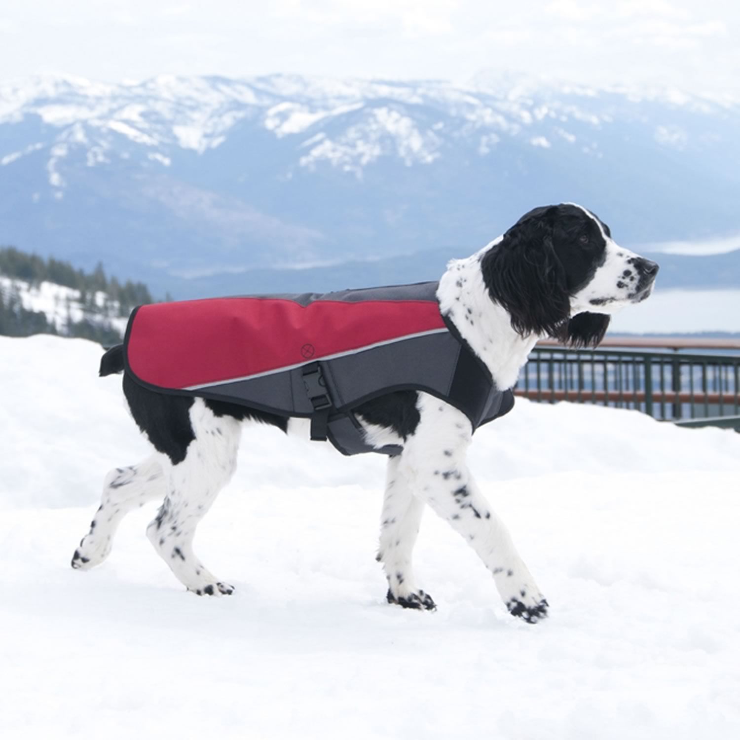 EzyDog element coat Scarlet XL