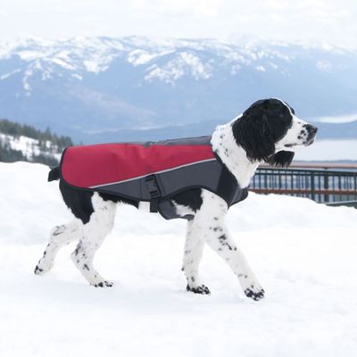 EzyDog element coat Scarlet XL