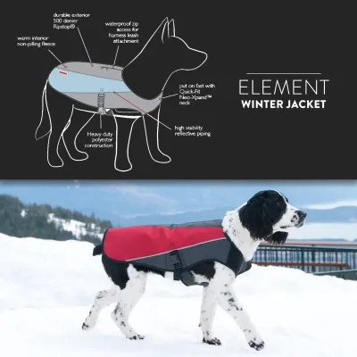 EzyDog Element Coat Orange XL